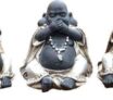 Les cinq grands Bouddha de sagesse